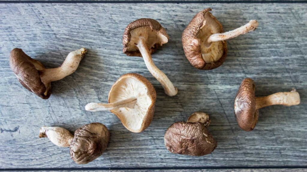 HEALTH BENEFITS OF MUSHROOMS