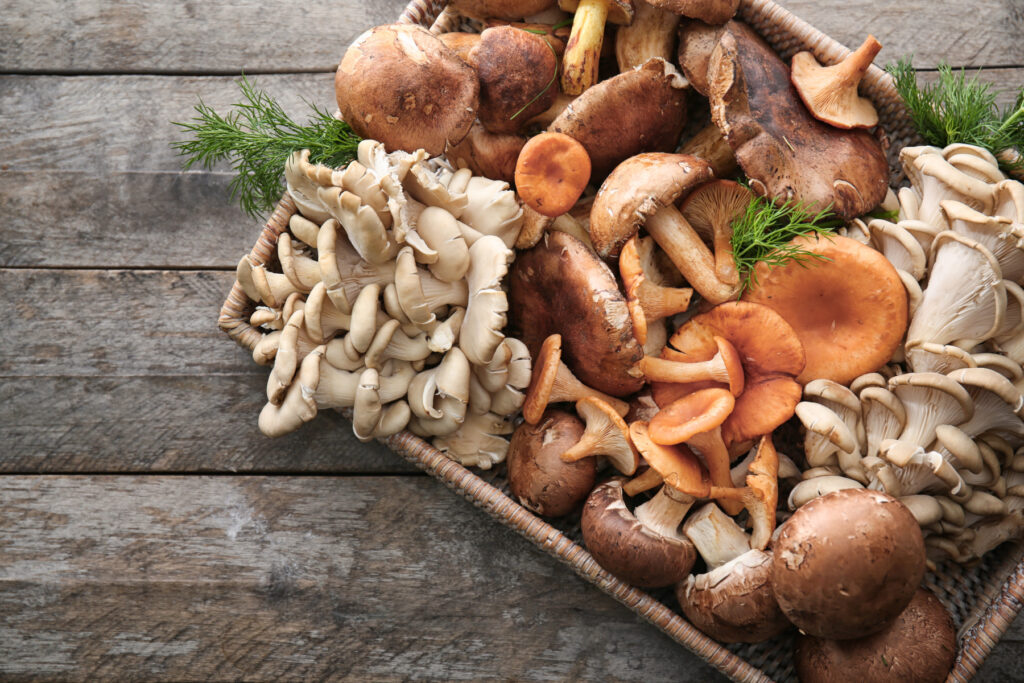 types mushrooms Canada