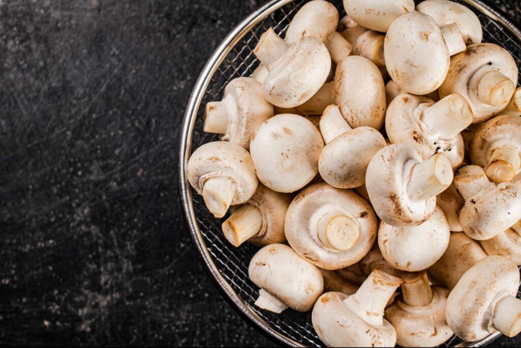 What Are Magic Mushrooms