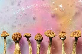 Magic Mushrooms Addictive