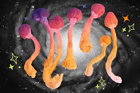 Risks and Side Effects of Psilocybin